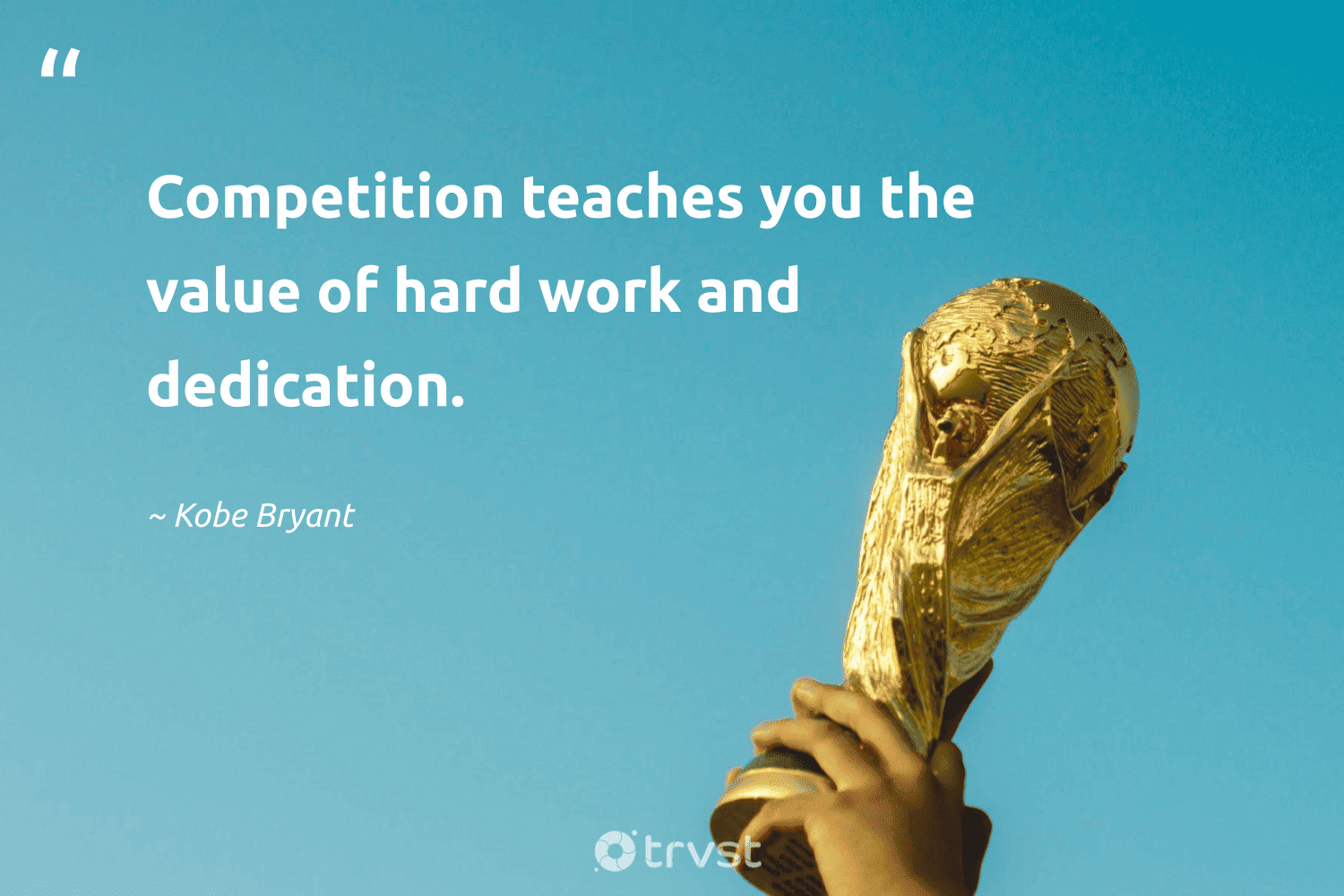 Receive competitive quotes